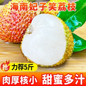 【妃子笑】海南妃子笑荔枝-新鲜水果整箱甜蜜多汁