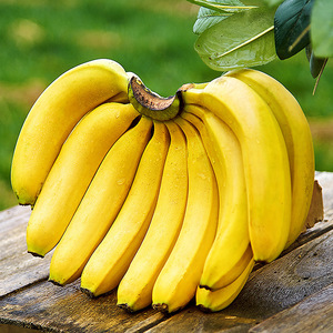 【甜香蕉】青绿色或成熟黄-甜香蕉自然熟当季新鲜水果